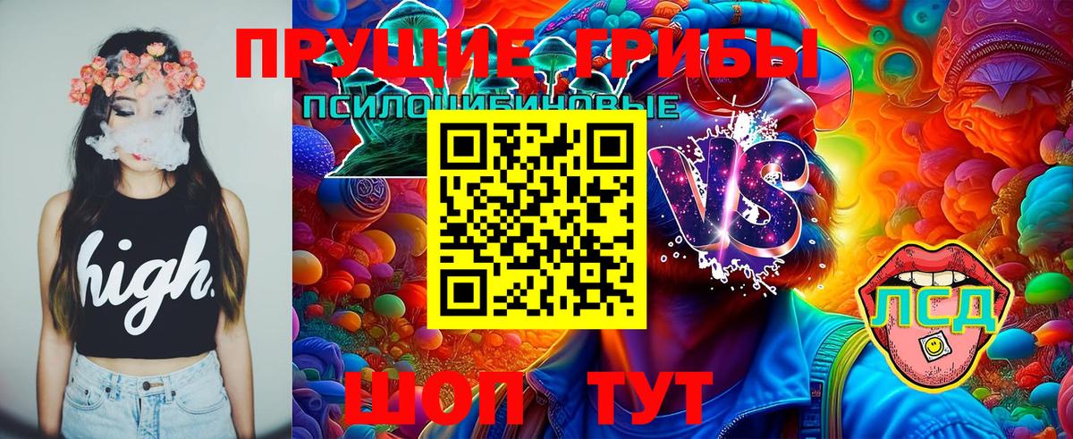 Псилоцибиновые грибы Magic Shrooms  Галлюциногенные грибы GOLDEN TEACHER  Кореновск  Вход с VPN 