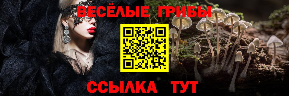 Галлюциногенные грибы мицелий Кореновск